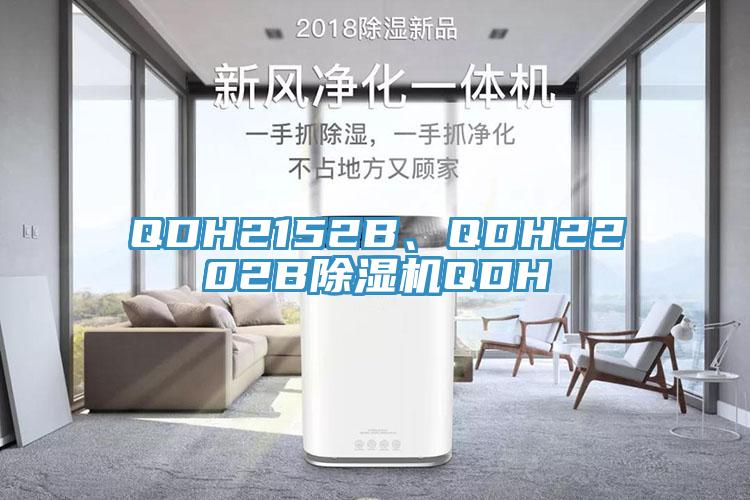 QDH2152B、QDH2202B91看片软件大全QDH