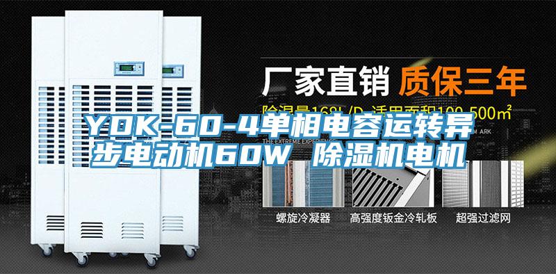 YDK-60-4單相電容運轉異步電動機60W 91看片软件大全電機