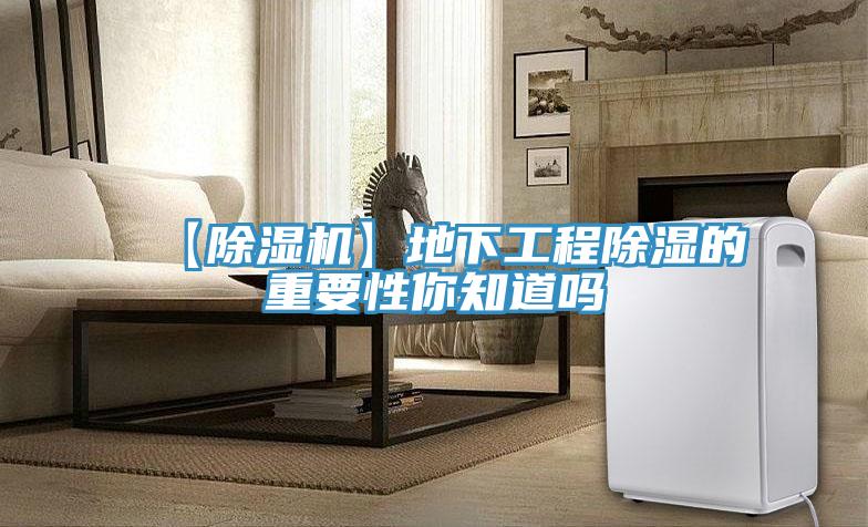 【91看片软件大全】地下工程除濕的重要性你知道嗎