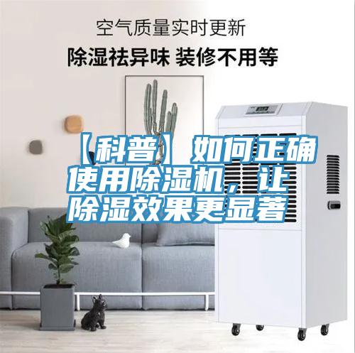 【科普】如何正確使用91看片软件大全，讓除濕效果更顯著