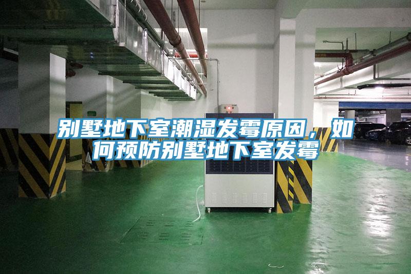 別墅地下室潮濕發黴原因，如何預防別墅地下室發黴