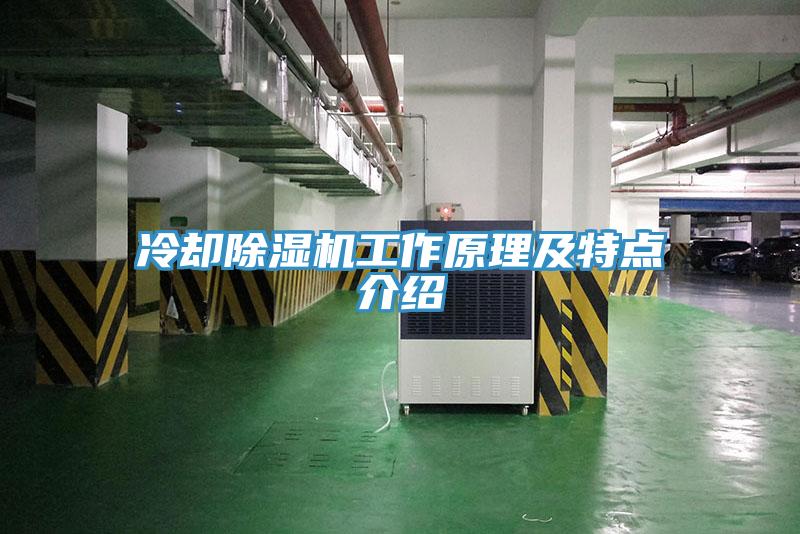 冷卻91看片软件大全工作原理及特點介紹
