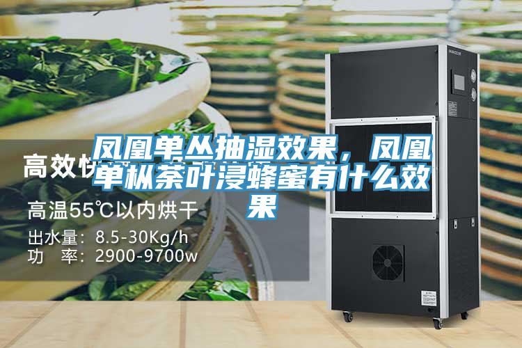 鳳凰單叢抽濕效果，鳳凰單樅荼葉浸蜂蜜有什麽效果