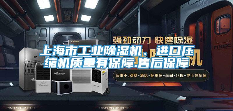 上海市工業91看片软件大全、進口壓縮機質量有保障.售後保障