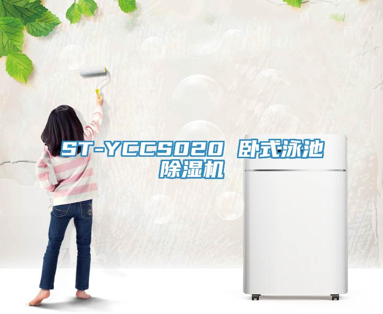 ST-YCCS020 臥式泳池91看片软件大全