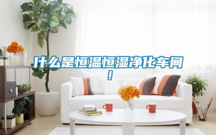 什麽是恒溫恒濕淨化車間！