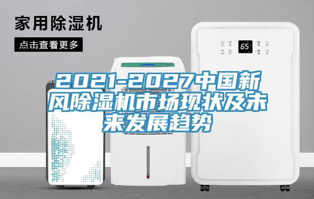 2021-2027中國新風91看片软件大全市場現狀及未來發展趨勢