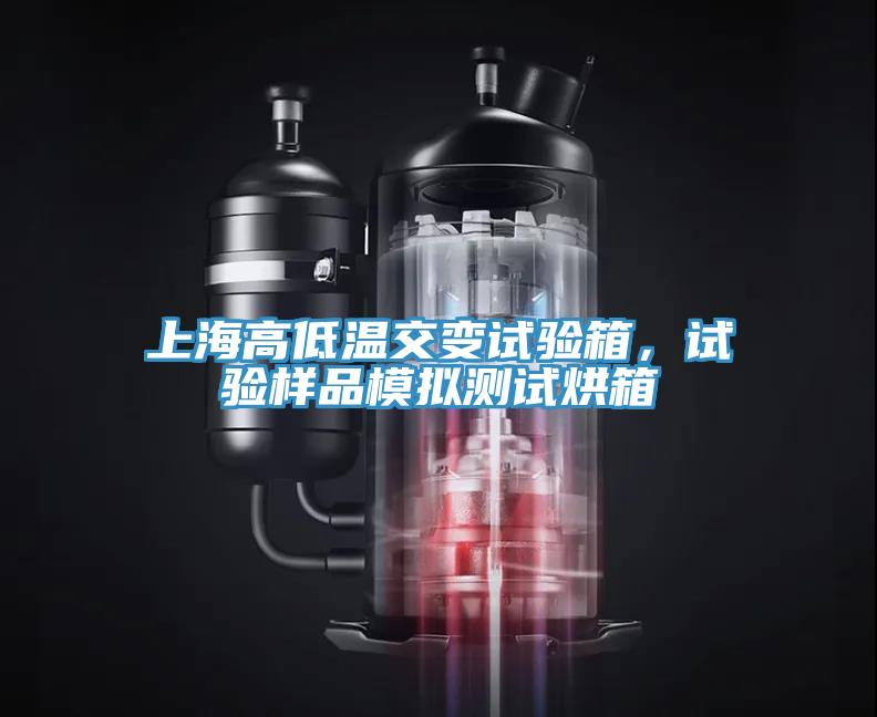 上海高低溫交變試驗箱，試驗樣品模擬測試烘箱