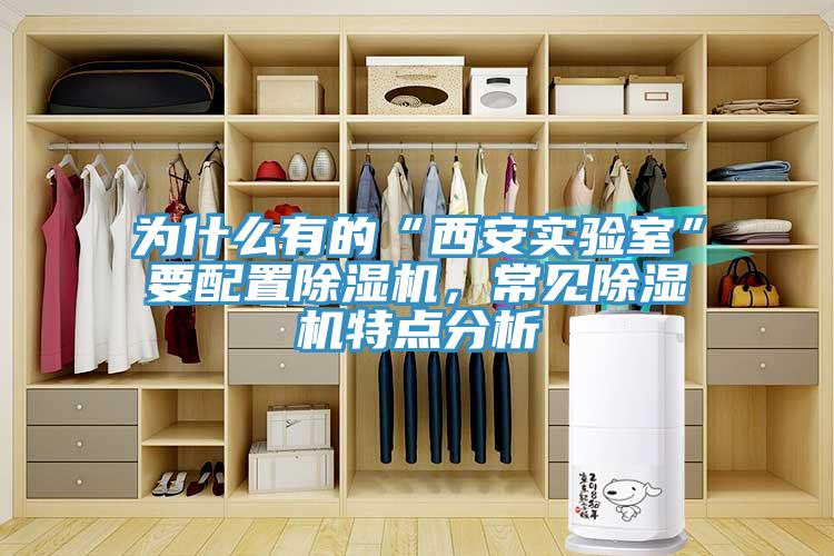 為什麽有的“西安實驗室”要配置91看片软件大全，常見91看片软件大全特點分析