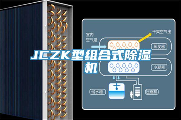 JCZK型組合式91看片软件大全