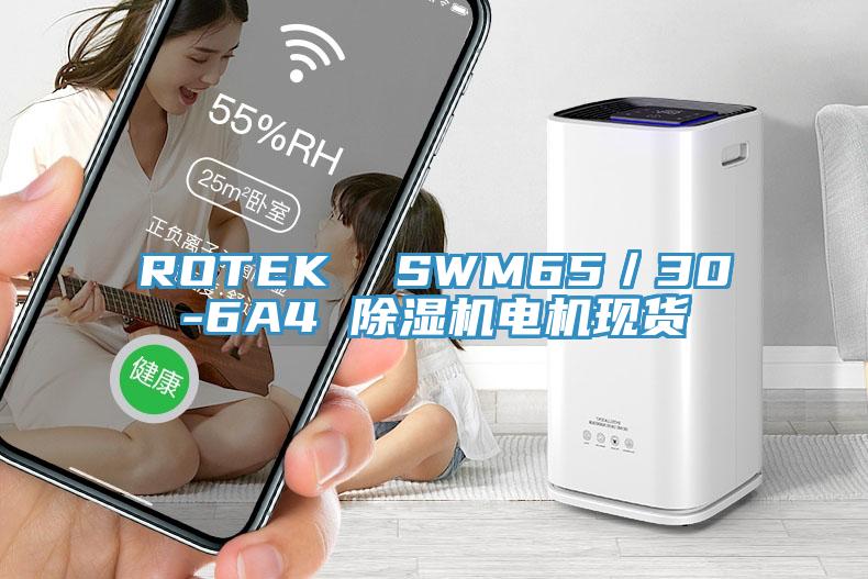 ROTEK  SWM65／30-6A4 91看片软件大全電機現貨