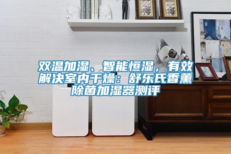 雙溫加濕、智能恒濕，有效解決室內幹燥：舒樂氏香薰除菌加濕器測評