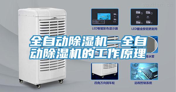 全自動91看片软件大全—全自動91看片软件大全的工作原理