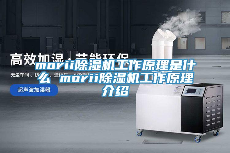 morii91看片软件大全工作原理是什麽 morii91看片软件大全工作原理介紹