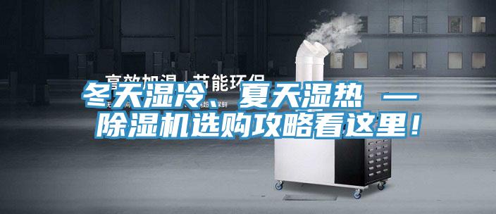 冬天濕冷、夏天濕熱 — 91看片软件大全選購攻略看這裏！