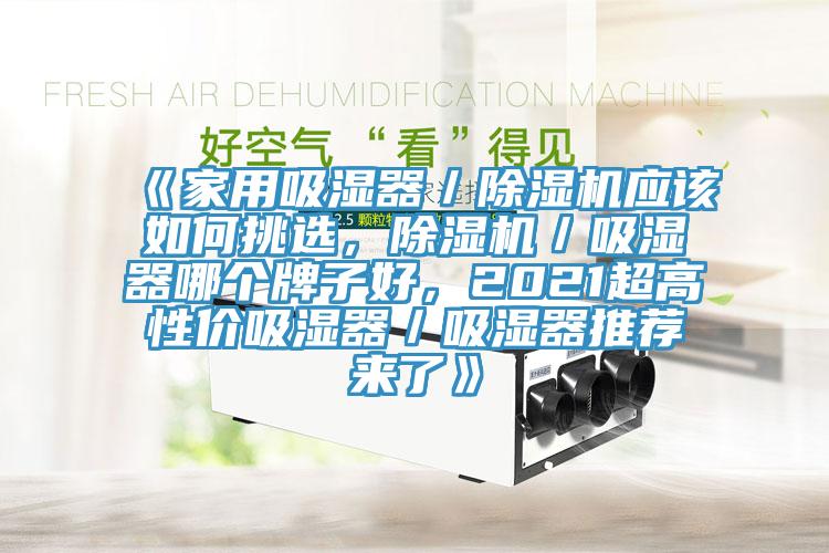 《家用吸濕器／91看片软件大全應該如何挑選，91看片软件大全／吸濕器哪個牌子好，2021超高性價吸濕器／吸濕器推薦來了》