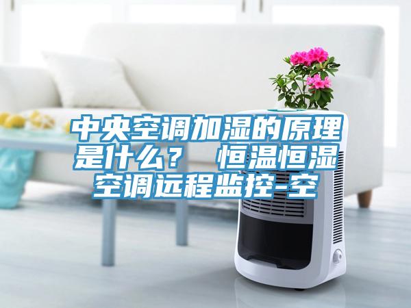 中央空調加濕的原理是什麽？ 恒溫恒濕空調遠程監控-空