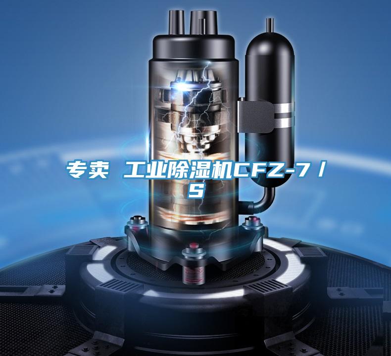 專賣 工業91看片软件大全CFZ-7／S
