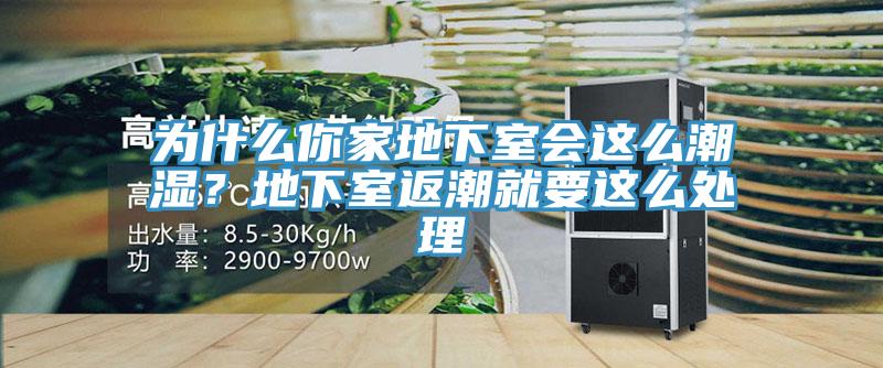 為什麽你家地下室會這麽潮濕？地下室返潮就要這麽處理