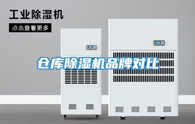 倉庫91看片软件大全品牌對比