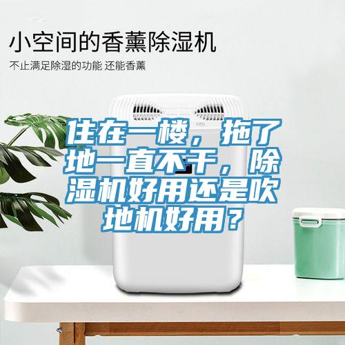 住在一樓，拖了地一直不幹，91看片软件大全好用還是吹地機好用？