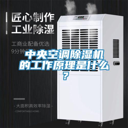 中央空調91看片软件大全的工作原理是什麽？