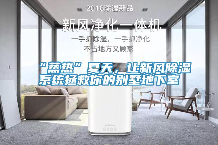 “蒸熱”夏天，讓新風除濕係統拯救你的別墅地下室