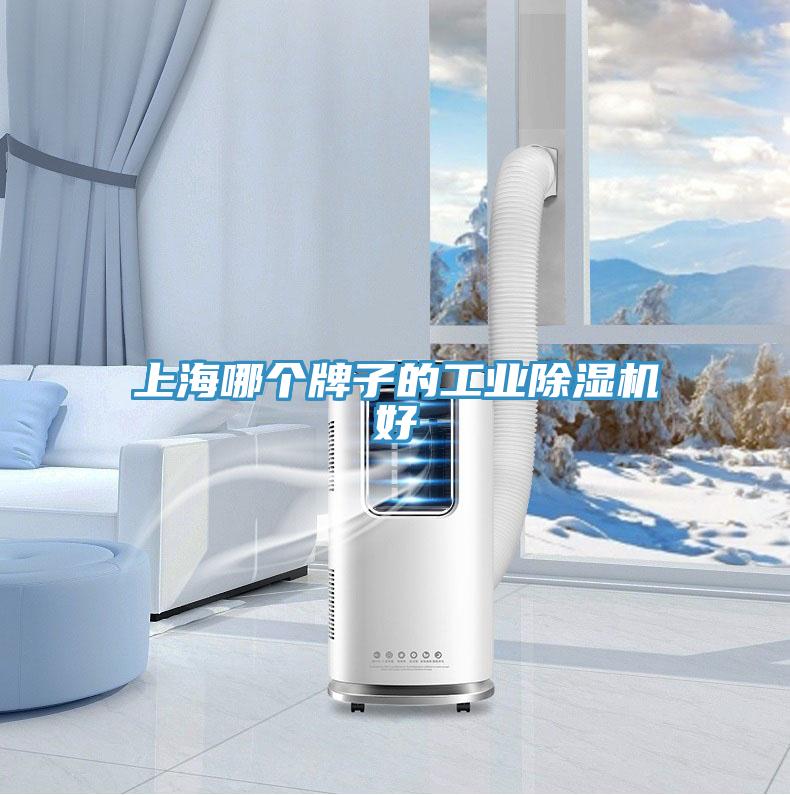 上海哪個牌子的工業91看片软件大全好