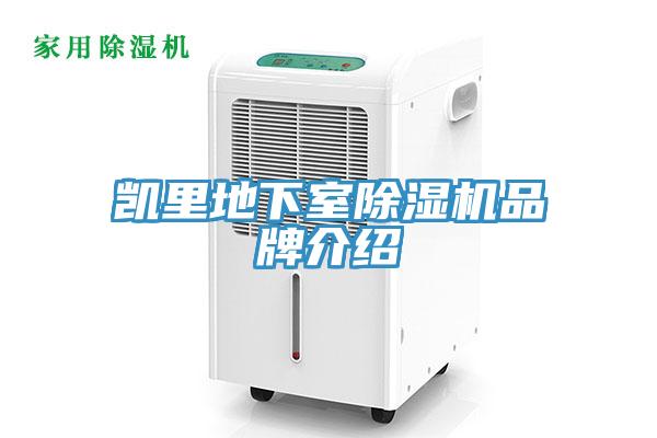 凱裏地下室91看片软件大全品牌介紹