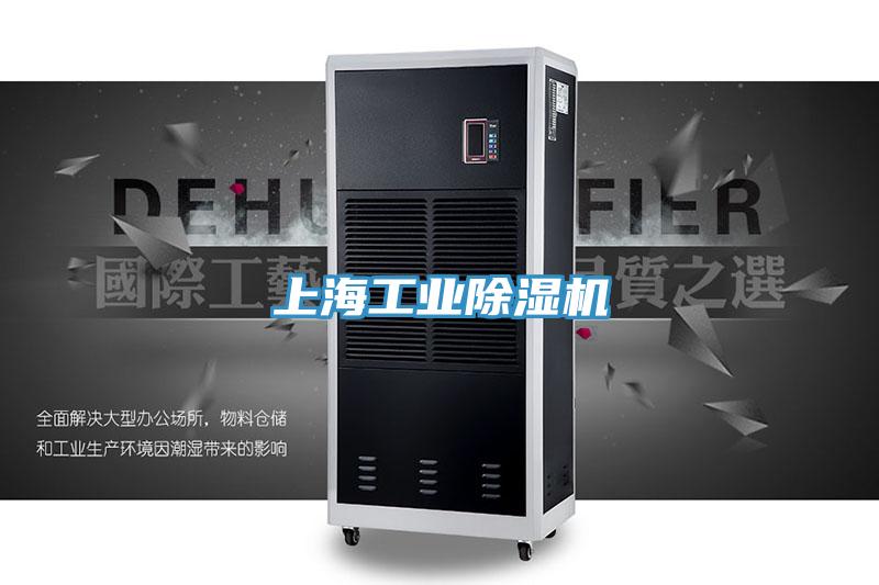 上海工業91看片软件大全