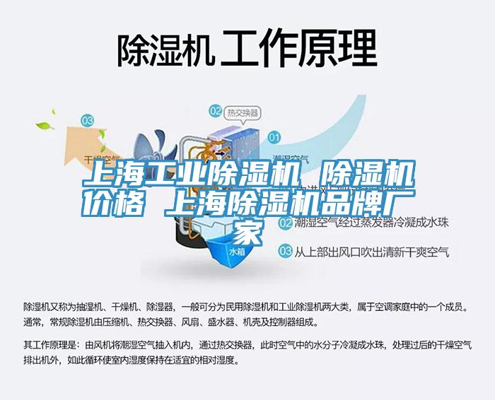 上海工業91看片软件大全 91看片软件大全價格 上海91看片软件大全品牌廠家