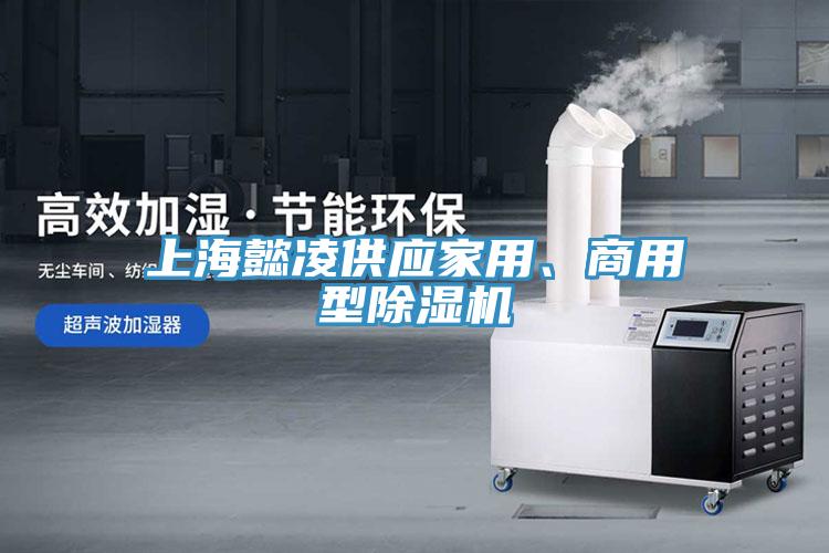 上海懿淩供應家用、商用型91看片软件大全