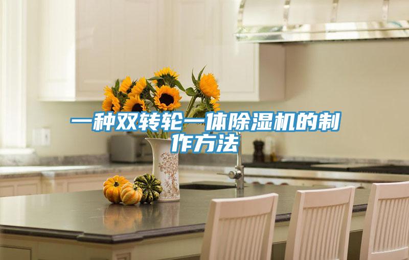 一種雙轉輪一體91看片软件大全的製作方法