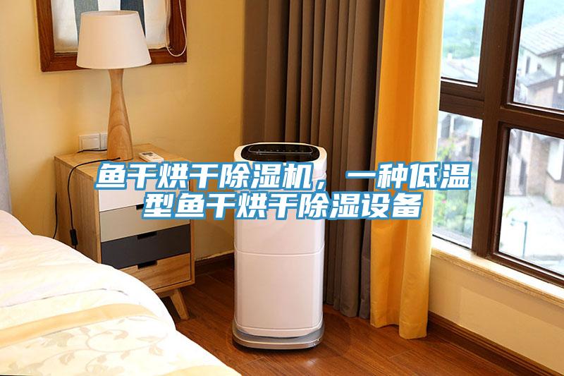 魚幹烘幹91看片软件大全，一種低溫型魚幹烘幹除濕設備