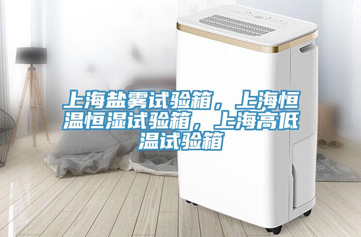 上海鹽霧試驗箱，上海恒溫恒濕試驗箱，上海高低溫試驗箱