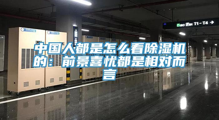 中國人都是怎麽看91看片软件大全的：前景喜憂都是相對而言