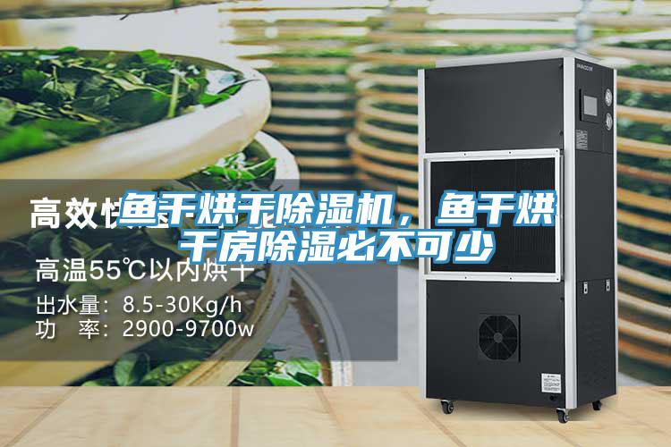 魚幹烘幹91看片软件大全，魚幹烘幹房除濕必不可少