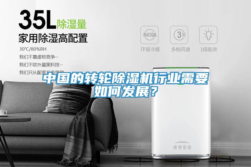 中國的轉輪91看片软件大全行業需要如何發展？