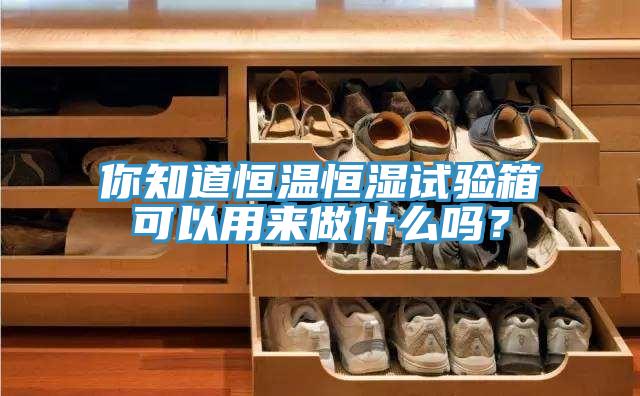 你知道恒溫恒濕試驗箱可以用來做什麽嗎？