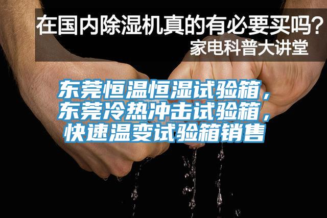 東莞恒溫恒濕試驗箱，東莞冷熱衝擊試驗箱，快速溫變試驗箱銷售