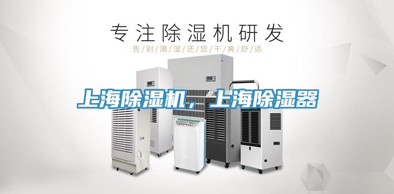 上海91看片软件大全，上海除濕器