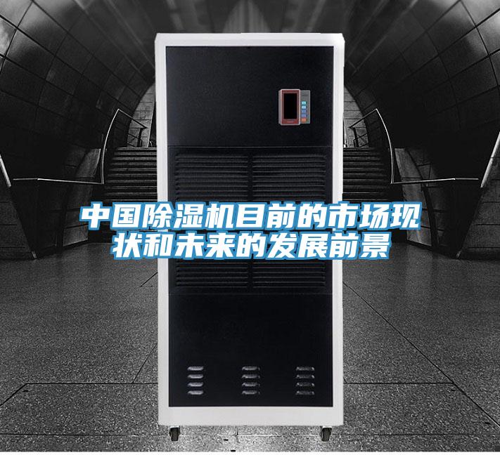 中國91看片软件大全目前的市場現狀和未來的發展前景