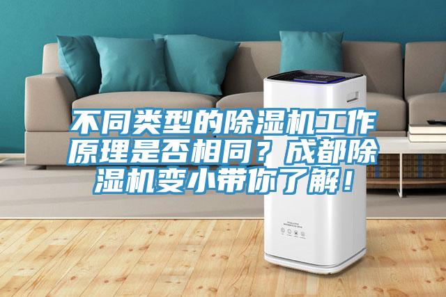 不同類型的91看片软件大全工作原理是否相同？成都91看片软件大全變小帶你了解！