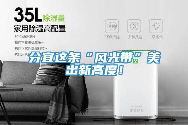 分宜這條“風光帶”美出新高度！