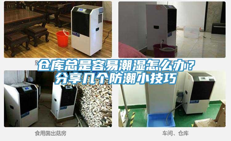 倉庫總是容易潮濕怎麽辦？分享幾個防潮小技巧