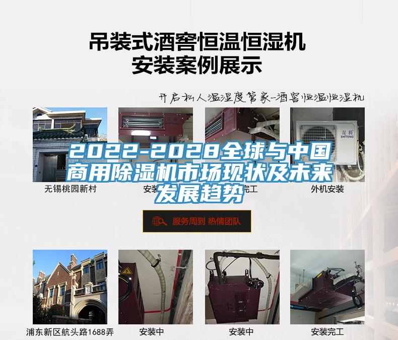 2022-2028全球與中國商用91看片软件大全市場現狀及未來發展趨勢