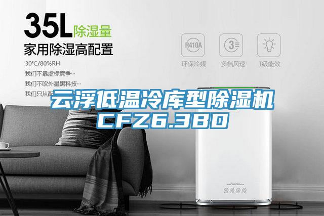 雲浮低溫冷庫型91看片软件大全CFZ6.3BD