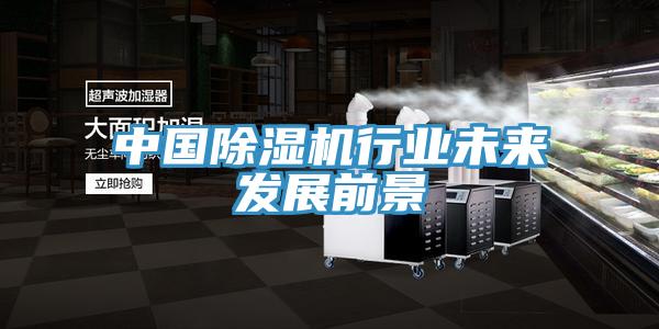 中國91看片软件大全行業未來發展前景