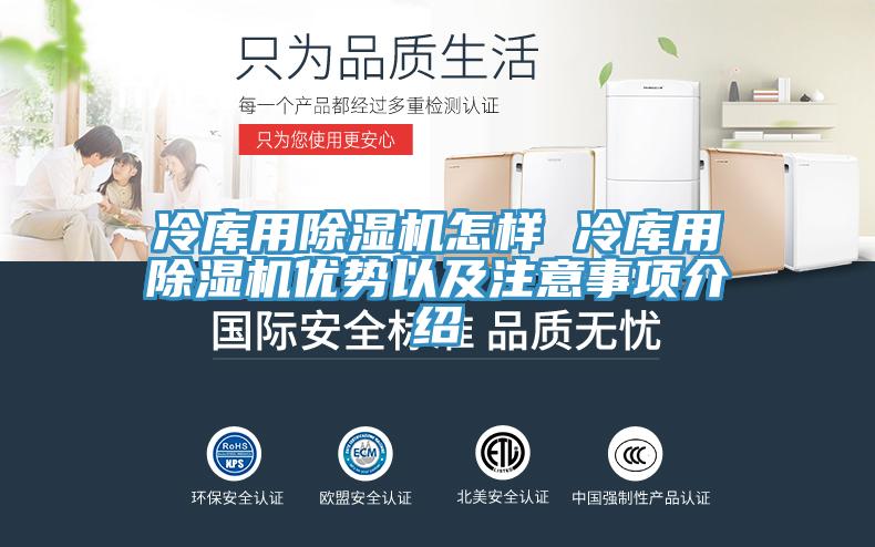 冷庫用91看片软件大全怎樣 冷庫用91看片软件大全優勢以及注意事項介紹