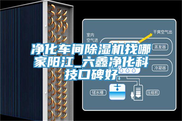 淨化車間91看片软件大全找哪家陽江_六鑫淨化科技口碑好